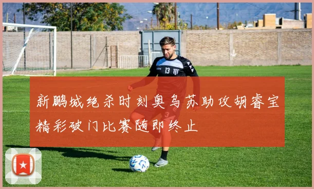 新鹏城绝杀时刻奥乌苏助攻胡睿宝精彩破门比赛随即终止