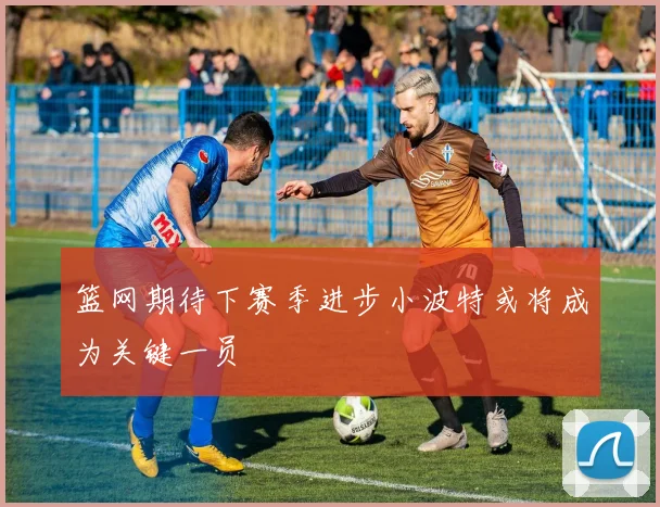 篮网期待下赛季进步小波特或将成为关键一员