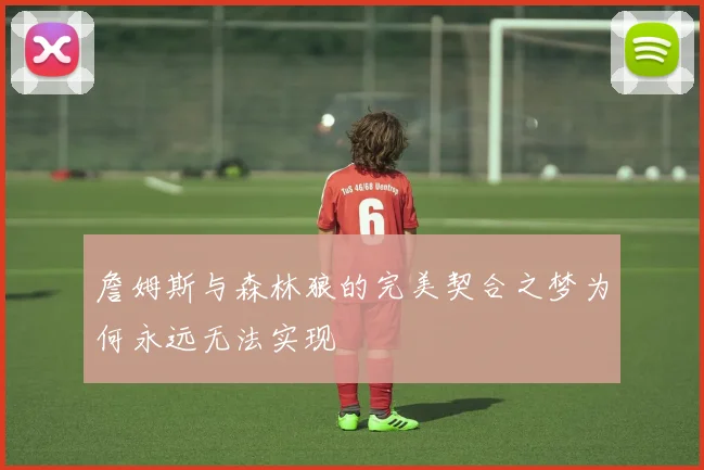 詹姆斯与森林狼的完美契合之梦为何永远无法实现